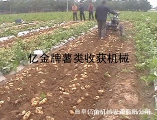 高產(chǎn)快速薯類(lèi)收獲機(jī)專(zhuān)業(yè)制造與銷(xiāo)售