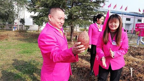 后疫情時(shí)代，薯類(lèi)食品如何成為健康餐桌的“常駐嘉賓”？