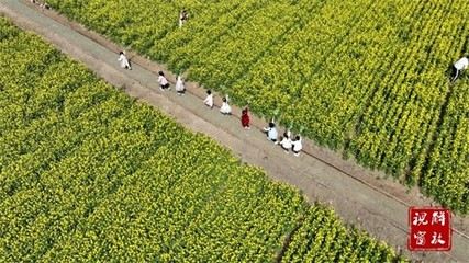 薯香飄千里 2025年焦作市麥田里田園綜合體項目引領薯類銷售新篇章