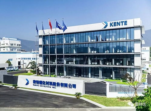 肯特催化戰(zhàn)略失衡 重銷售管理輕研發(fā)，技術(shù)開發(fā)人員薪酬雙標引關(guān)注